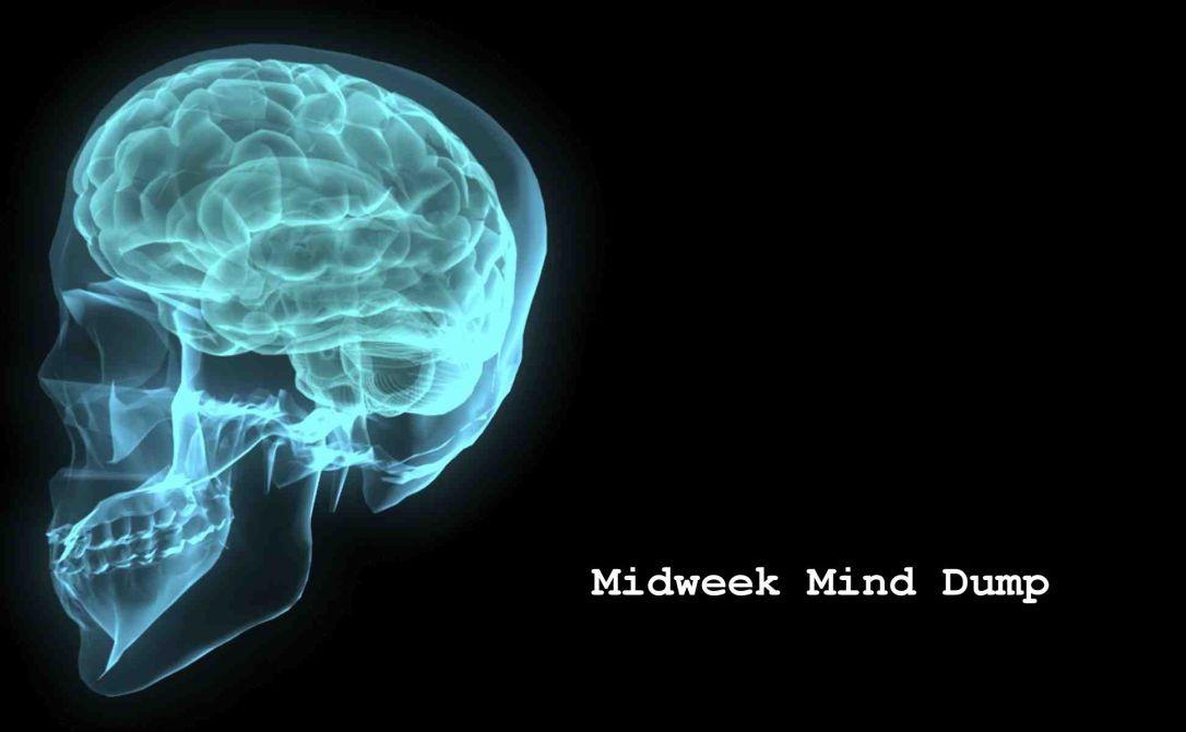 midweek mind dump
