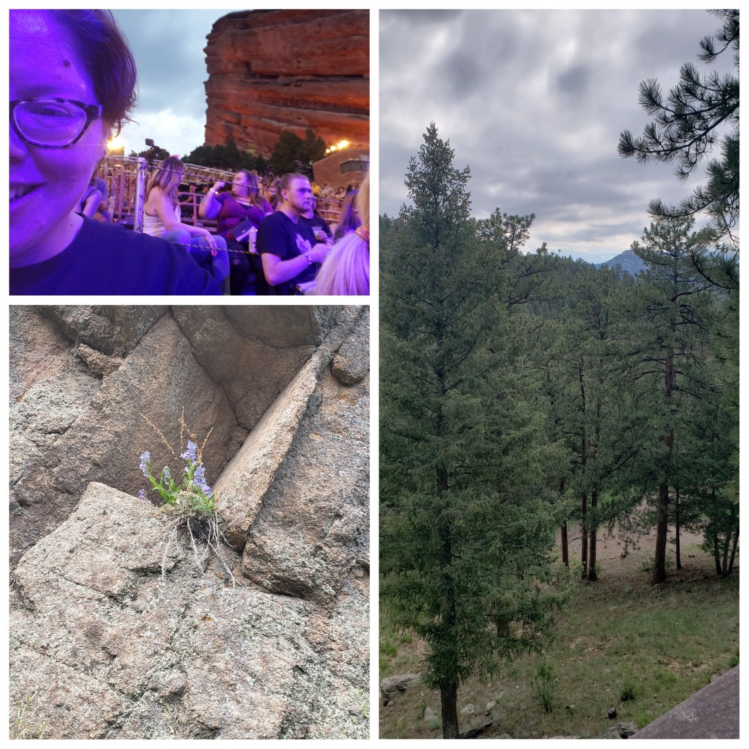 PhotoGrid_1625150000375